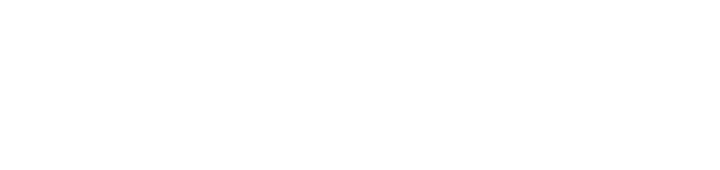 e-Devlet
